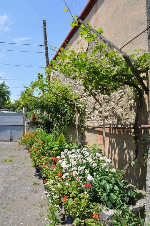 Guest House Cico Telavi Dış mekan fotoğraf