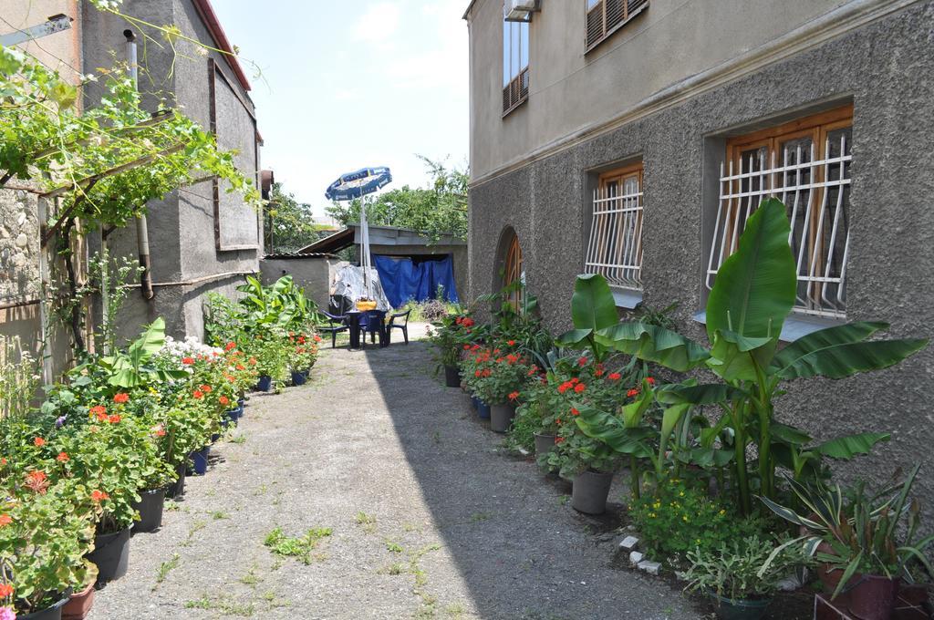 Guest House Cico Telavi Dış mekan fotoğraf